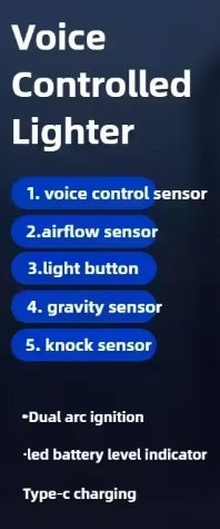 Voice Control Ignition 2